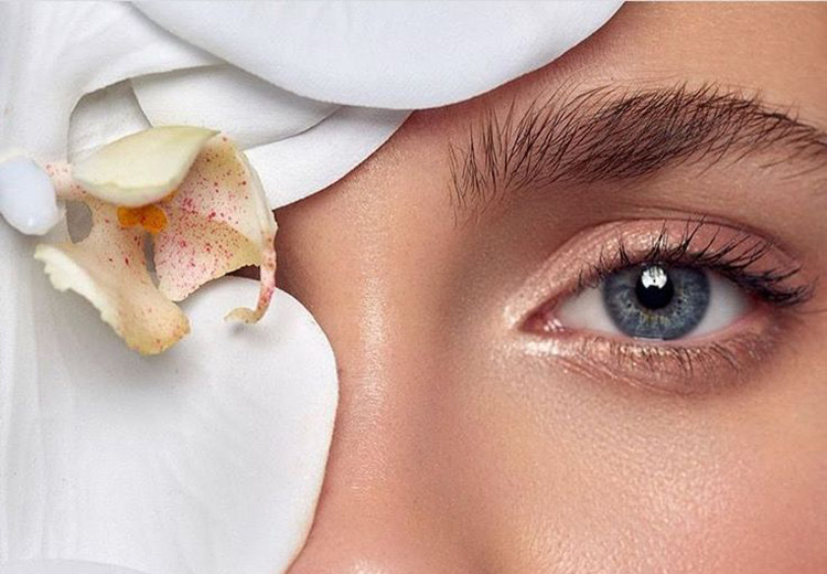 Aesthetic and Plastic Surgery